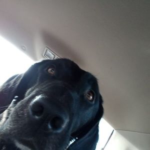 Meet your Posher, Jose